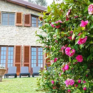 Villa Camelia Tuscany, Pescia
